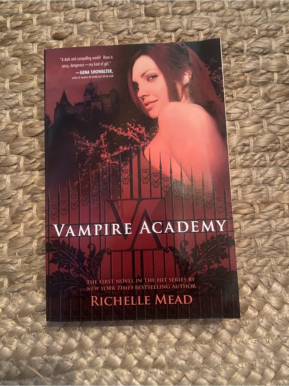Vampire Academy Series - Picture 6 of 7